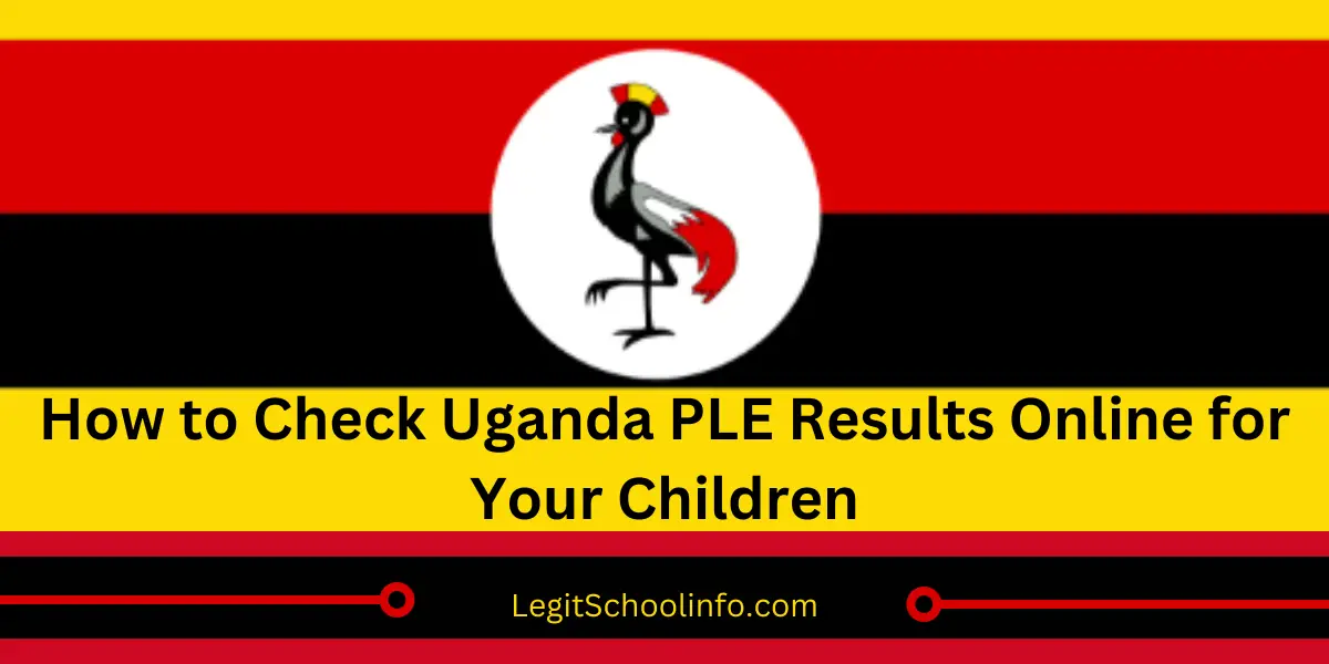 How to Check Uganda PLE Results Online for Your Children 2024 UPDATE