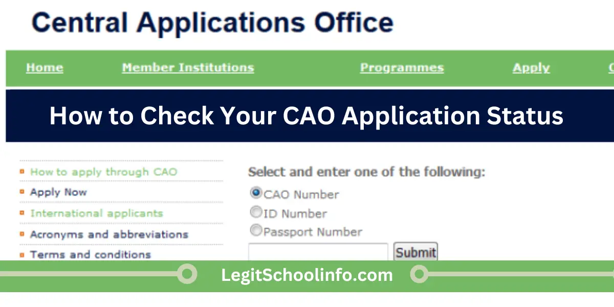 How to Check Your CAO Application Status in 2025